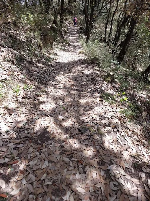 Karol Tibba view 2 in Solan